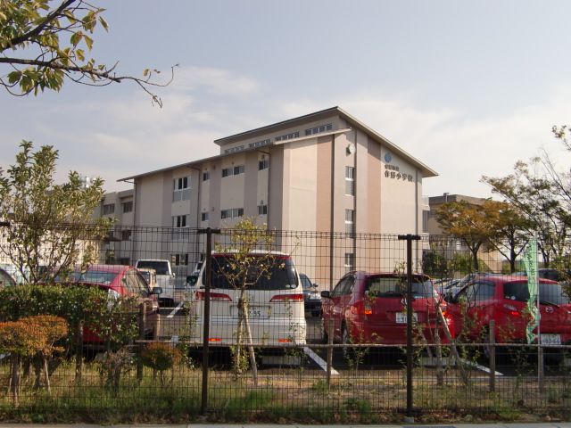 Primary school. Municipal Sakuno to elementary school (elementary school) 340m