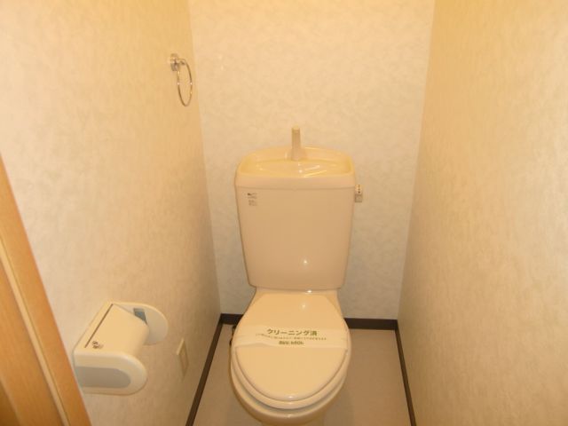 Toilet. Clean toilet