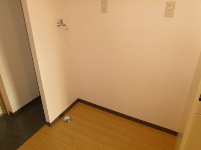 Other room space. Indoor Laundry Storage