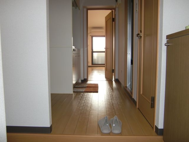 Entrance. Airy entrance