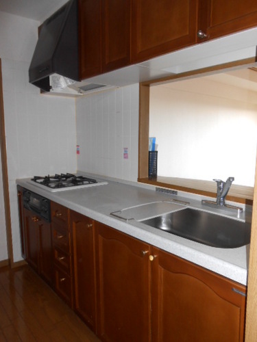 Kitchen. Face-to-face kitchen counter