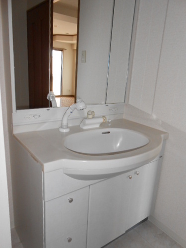 Washroom. Vanity with a shower head