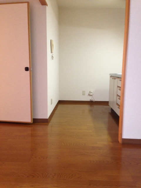 Living and room. Living