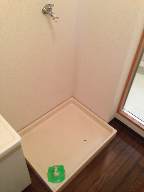 Other room space. Laundry Area