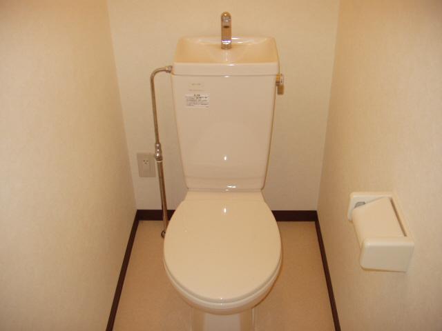 Toilet. Isomorphic type