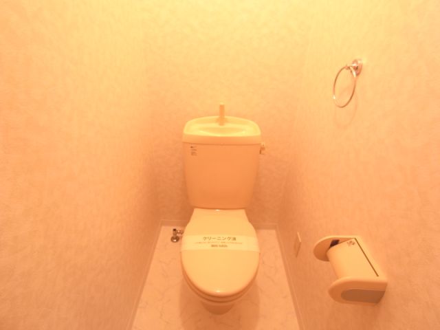Toilet. It will be multiplied by the towel.