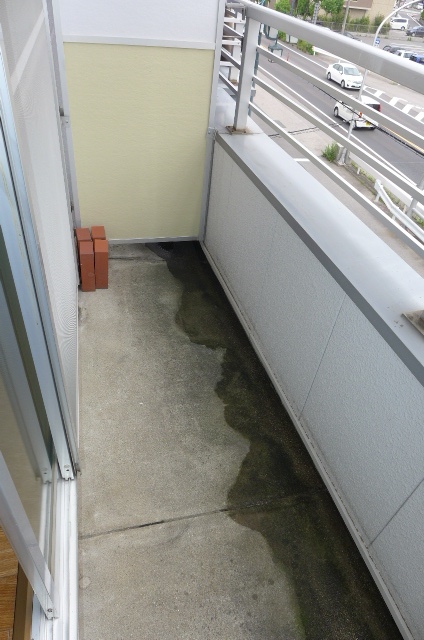 Balcony. Veranda