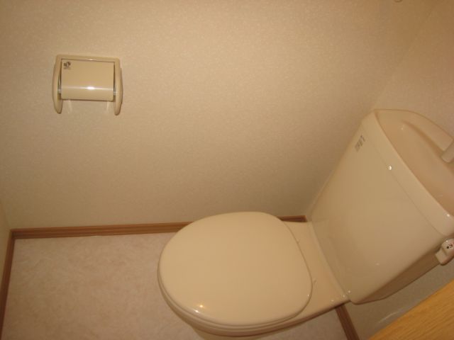 Toilet. Clean toilet