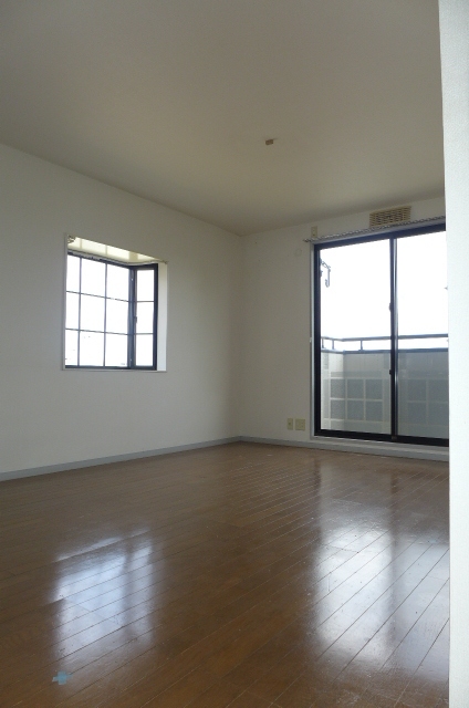 Living and room. Living