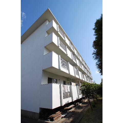 Building appearance
