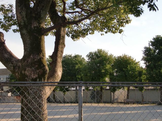 park. Showa park until the (park) 390m