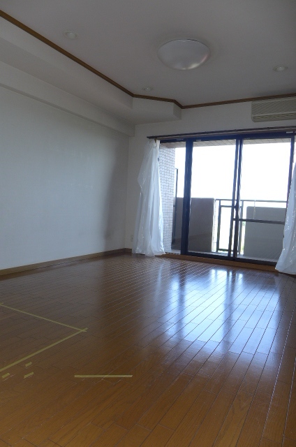 Living and room. Living