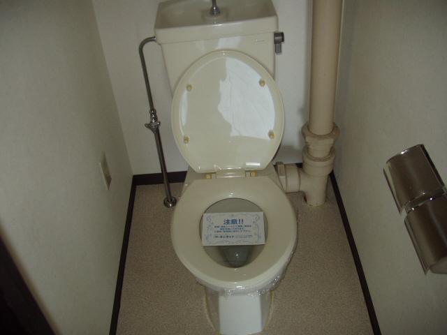 Toilet. Isomorphic type