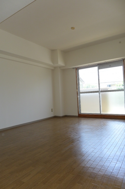 Living and room. Living