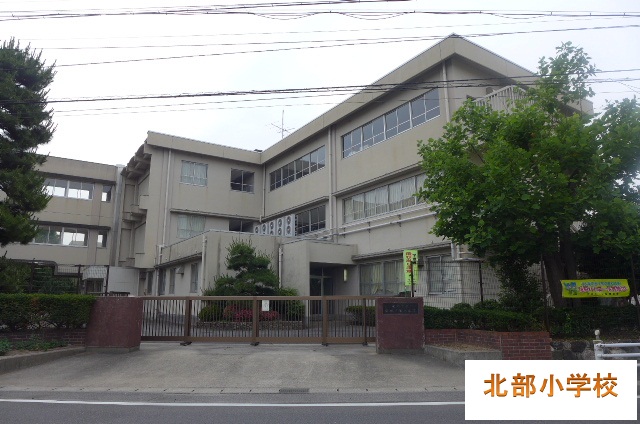 Primary school. 390m until Anjo north elementary school (elementary school)