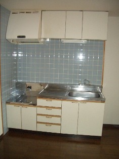 Kitchen. Spacious kitchen