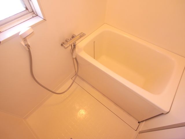 Bath. A beautiful bath