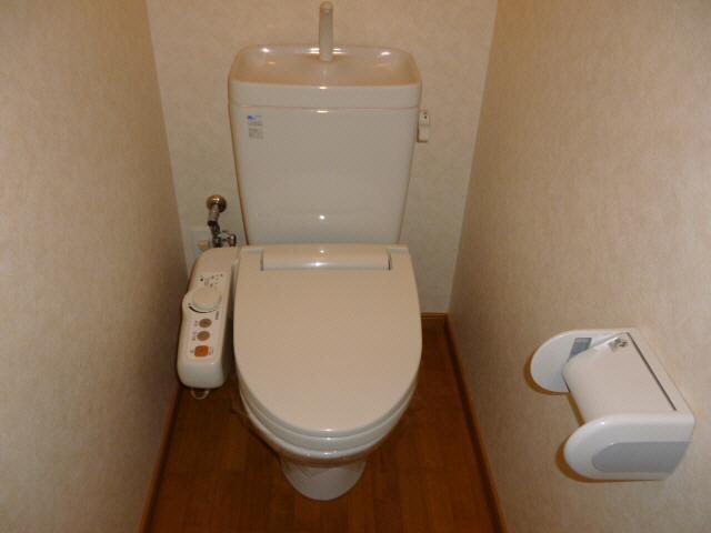 Toilet. Isomorphic type