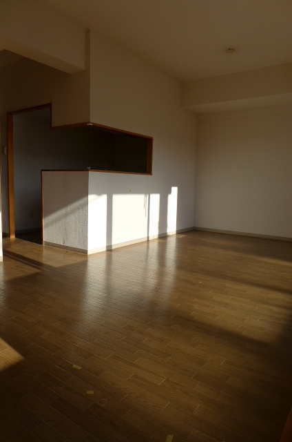 Living and room. Living
