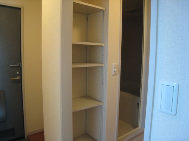 Other room space. There is a happy organize shelves in washroom