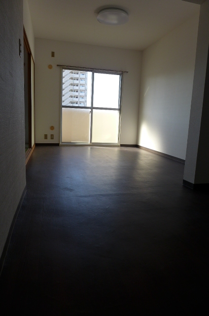 Living and room. Living