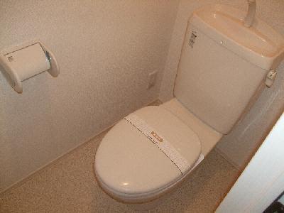 Toilet. Isomorphic type