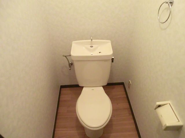 Toilet. Toilet with cleanliness.