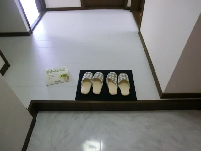 Entrance. A spacious entrance.