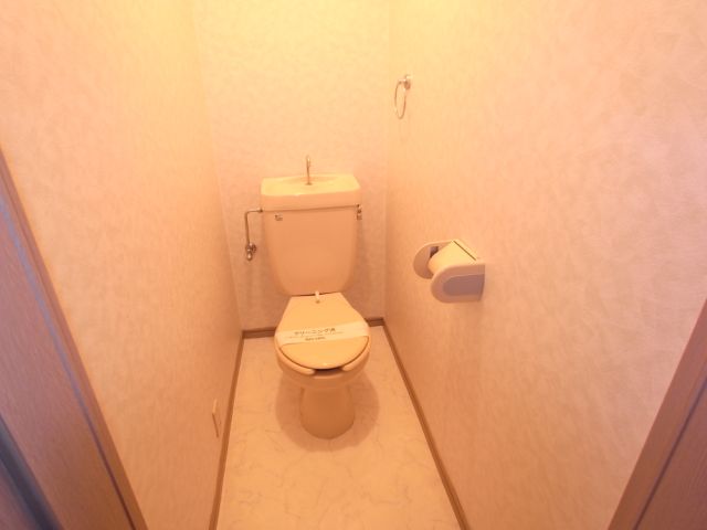 Toilet. Toilet with cleanliness