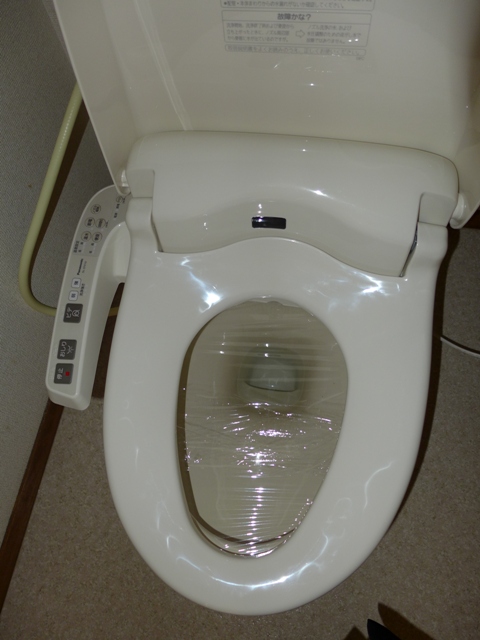 Toilet. With cleaning function warm toilet seat