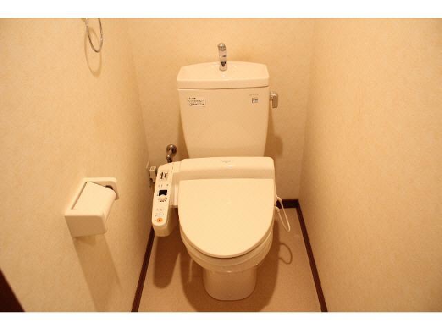 Toilet. Isomorphic type