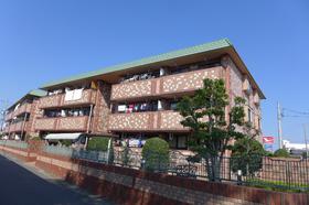 Junior high school