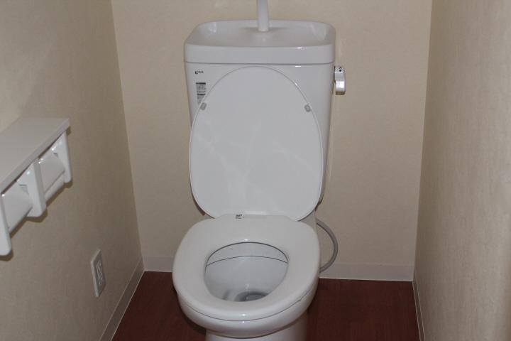 Toilet. Isomorphic type