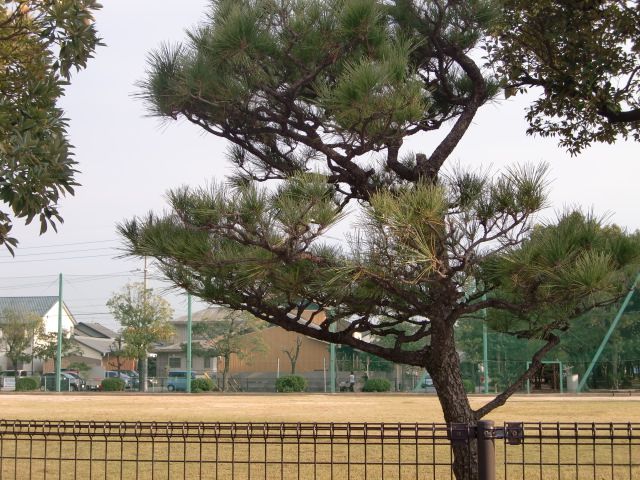 park. Yoshita to the park (park) 220m
