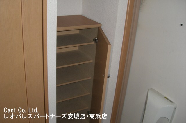 Entrance. Shoe box