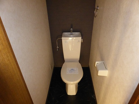Toilet