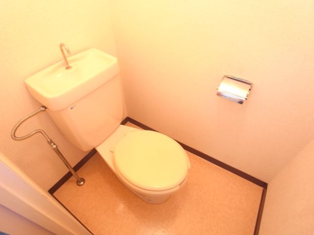 Toilet. Toilet settle space.