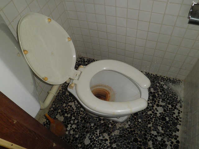 Toilet