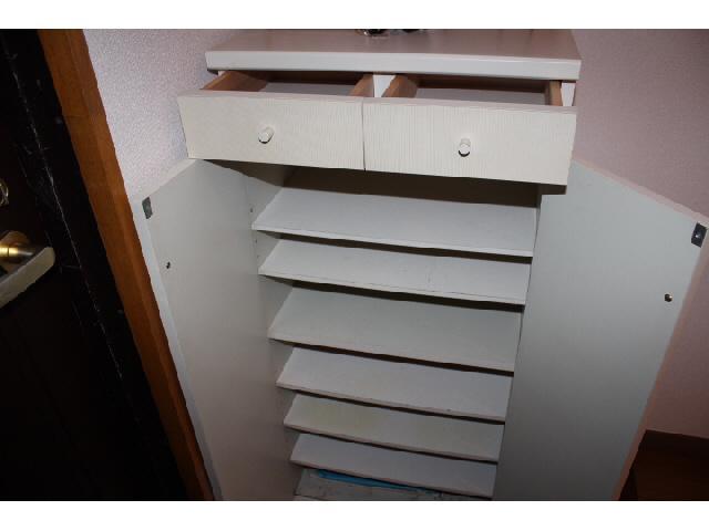 Receipt. Isomorphic type