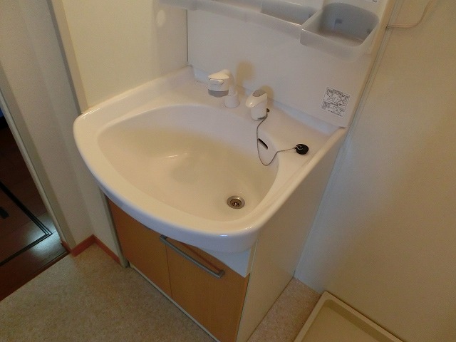 Other Equipment. Shampoo dresser