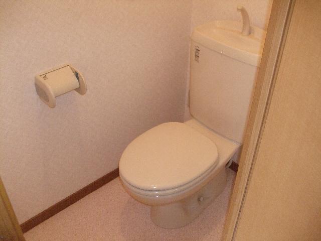 Toilet. Isomorphic type