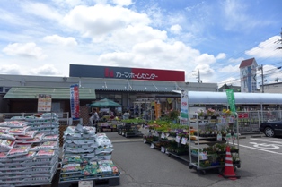 Home center. 580m until Kama (hardware store)