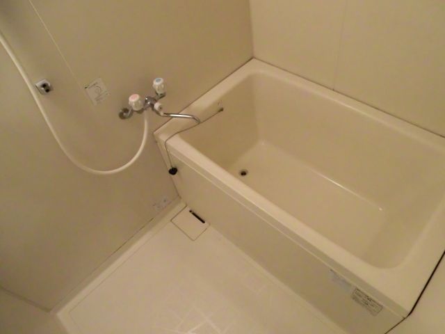 Bath. Bathtub