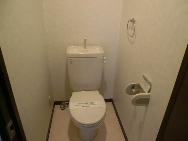 Toilet. Towel with toilet.
