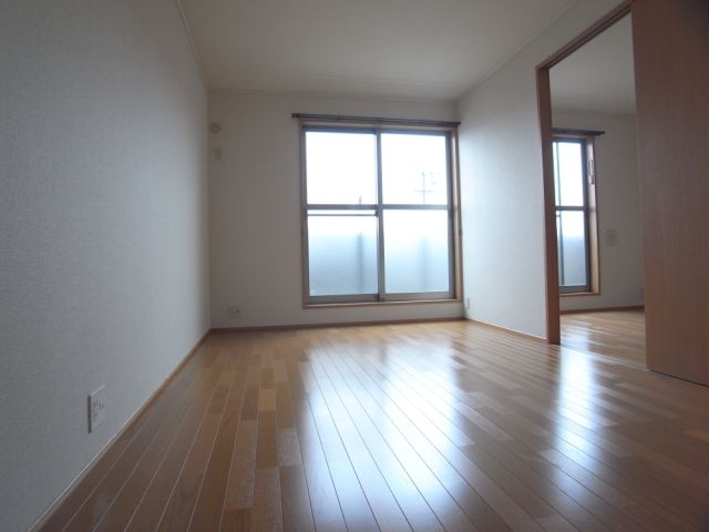 Living and room. Bright room