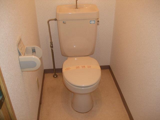 Toilet. Isomorphic type