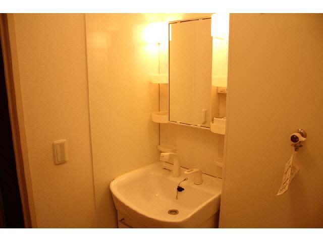 Washroom. Isomorphic type