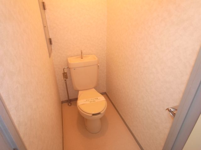 Toilet. Toilet with cleanliness