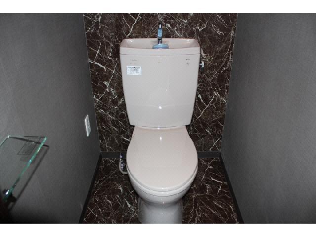 Toilet. Isomorphic type