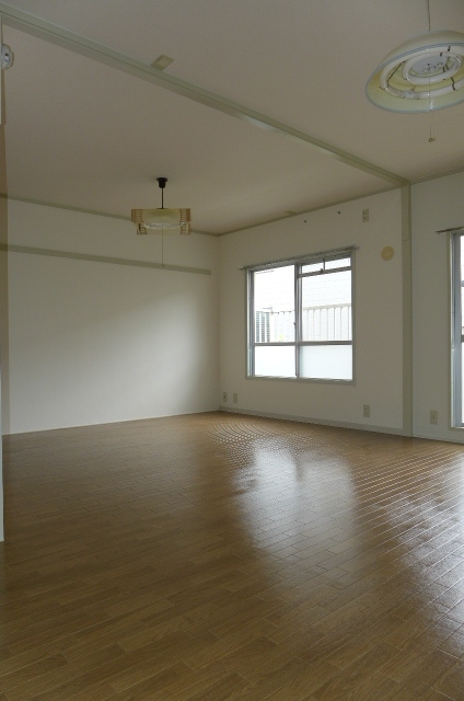 Living and room. Living